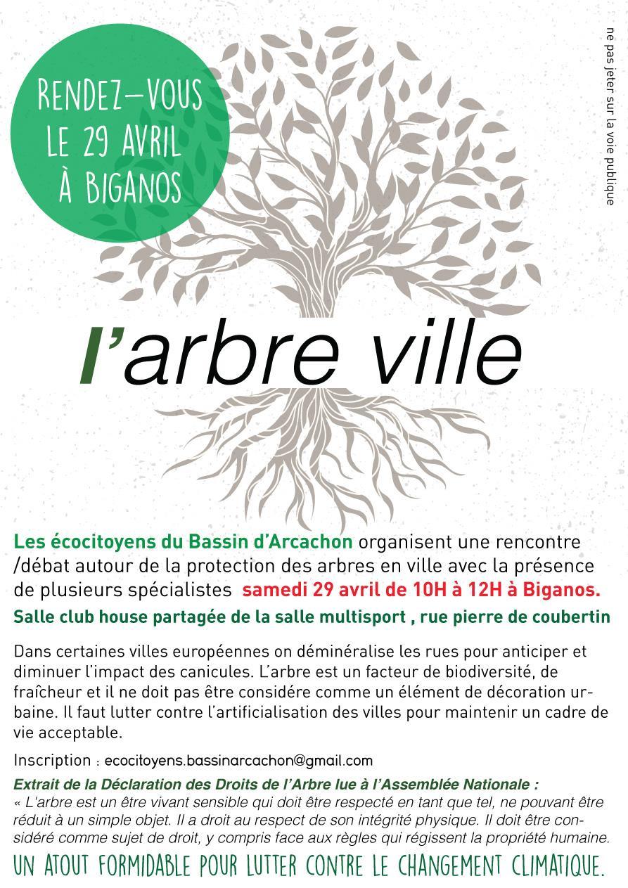 Arbreville 1