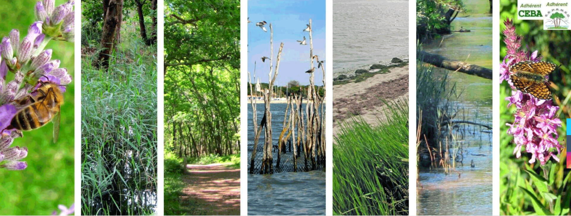 Écocitoyens du Bassin d'Arcachon