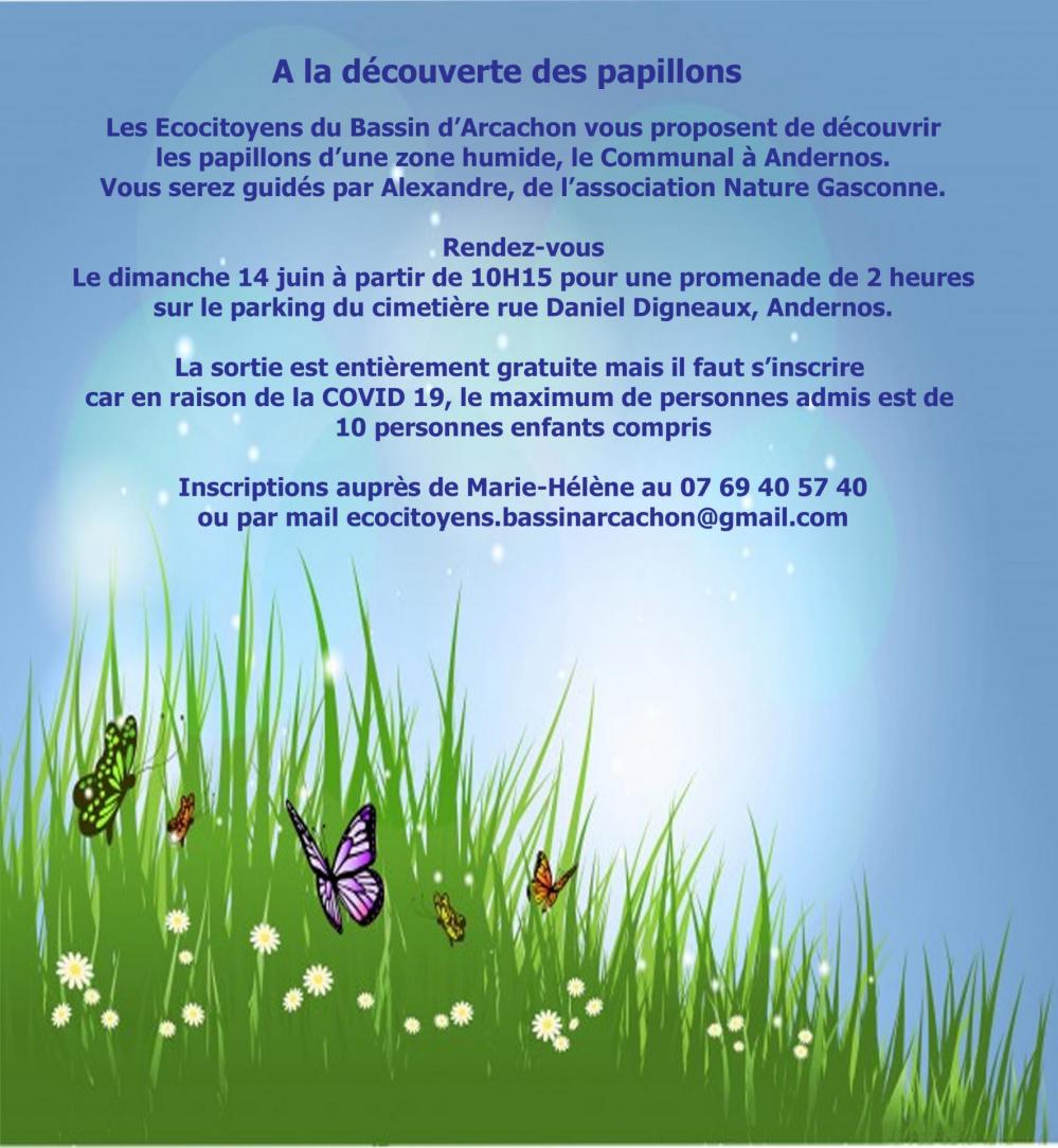 Flyer sortie papillons 14juin20