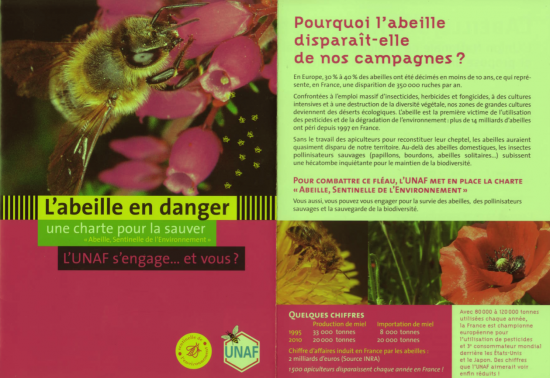 abeilles-en-danger.png