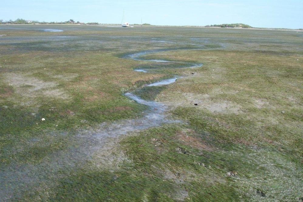 image-6.jpg