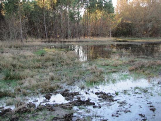 img-0154.jpg