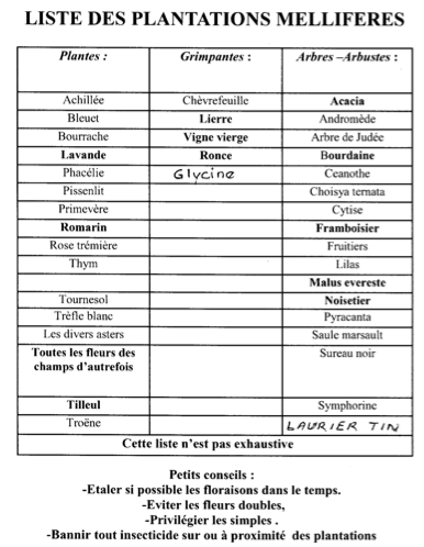 liste-plantes.png
